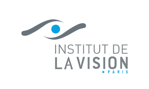 Institut de la vision